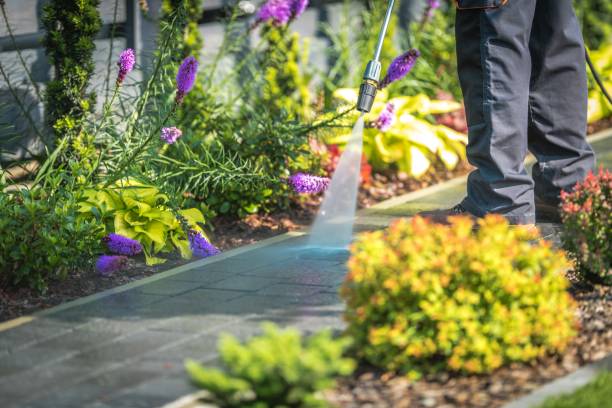 Best Pool Deck Cleaning  in Seeley, CA