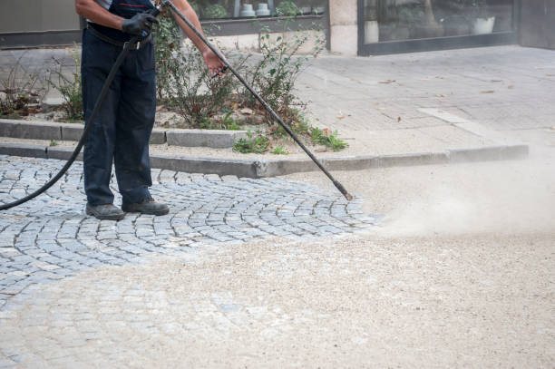 Best Animal Enclosure Cleaning  in Seeley, CA